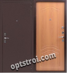 Входная металлическая дверь в загородный дом. Модель А575-06